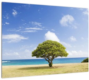 Sklenený obraz pláže so stromom (70x50 cm)
