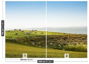 Fototapeta Vliesová Kravy na pastvine 104x70 cm