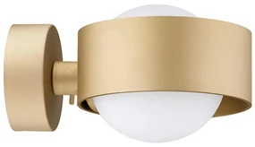 Argon 8567 - Kúpeľňové nástenné svietidlo MASSIMO PLUS 1xG9/6W/230V zlatá AR8567