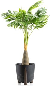 Květináč MOSS ECO 25,5x25,3 cm černý beton