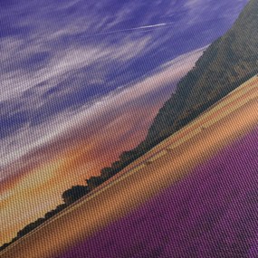 Obraz levanduľovej lúky (150x105 cm)