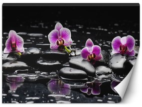 Gario Fototapeta Zenové kamene a orchidey Materiál: Vliesová, Rozmery: 200 x 140 cm