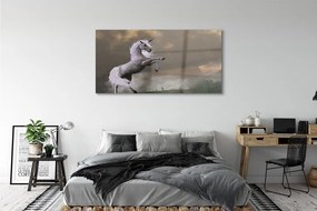 Obraz na akrylátovom skle Unicorn top 140x70 cm