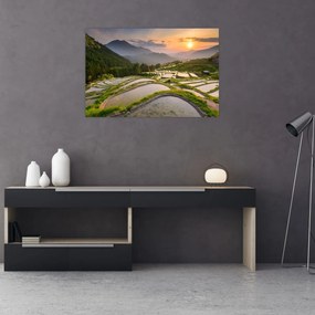 Obraz - Ryžové terasy (90x60 cm)