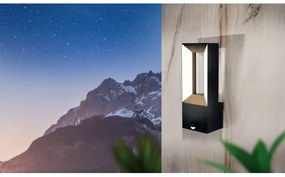 Eglo 98726 - LED Vonkajšie svietidlo so senzorom RIFORANO 2xLED/5W/230V IP44