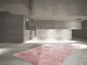 Obsession, AKCIA: 80x150 cm Kusový koberec Curacao 490 powder pink, ružová, obývacia izba