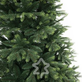 Smrek Himalájsky 180 cm