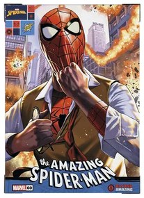 Obraz na plátne Spiderman 50x70 cm