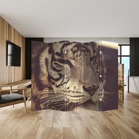 Paraván - Tiger (210x170 cm)