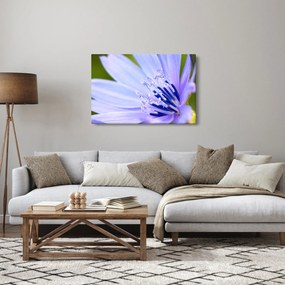Obraz - kvet (90x60 cm)