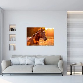 Obraz - Kôň v západe slnka (90x60 cm)