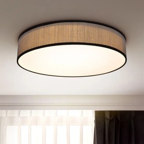 Brilagi - LED Stmievateľné stropné svietidlo AURORA LED/48W/230V 3000-6500K + DO