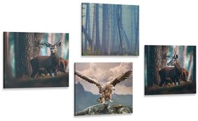 Set obrazov zákutia lesa - 4x 60x60