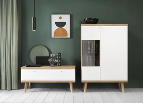 TV stolík Primo, dub riviera/biely