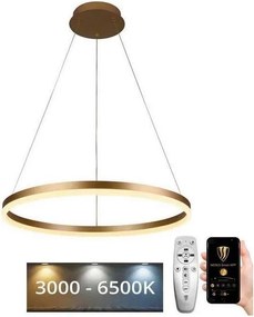 Brilagi - LED stmievateľný luster na lane CIRCLE LED/42W/230V 3000-6500K + diaľkové ovládanie