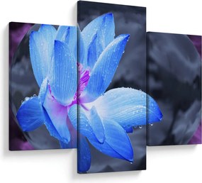 Obraz kvetu v detaile (90x60 cm)