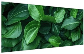 Obraz - Zelené listy (120x50 cm)
