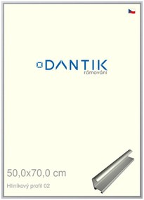 DANTIK rám na obraz 50x70 | ALU Stříbrná matná (Plexi Čiré)