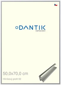 DANTIK rám na obraz 50x70 | ALU Stříbrná matná (Plexi Čiré)