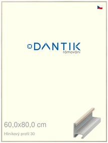 DANTIK rám na obraz 60x80 | ALU Dýha slovnová kost (Plexi Čiré)