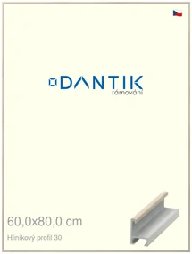 DANTIK rám na obraz 60x80 | ALU Dýha slovnová kost (Plexi Čiré)