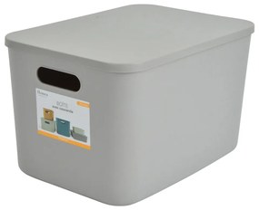 Sivý plastový úložný box s vekom 35,5x25,5x23 cm – Homéa