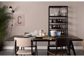 Jedálenské stoličky v súprave 4 ks v petrolejovej farbe Back to school - Zuiver