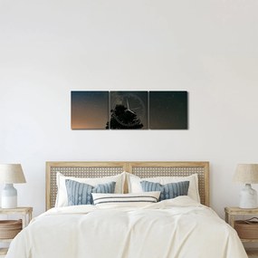 Obraz nočnej oblohy so stromami (s hodinami) (90x30 cm)