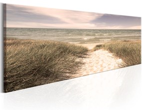 Artgeist Obraz - Summer Dream Veľkosť: 120x40, Verzia: Premium Print