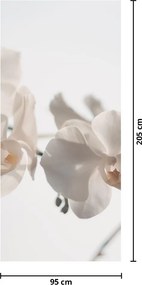 Fototapeta na dvere - Biele orchidey (95x205cm)
