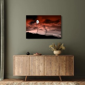 Obraz - Mesiac osvetľujúce noc (90x60 cm)