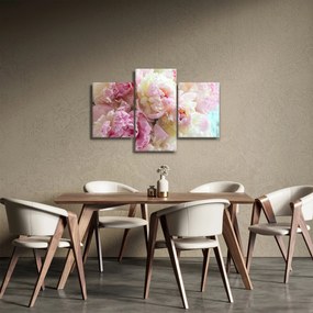 Obraz - Pivonky (90x60 cm)