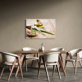 Obraz - Aloe vera (90x60 cm)