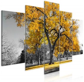 Artgeist Obraz - Autumn in the Park (5 Parts) Wide Gold Veľkosť: 100x50, Verzia: Premium Print