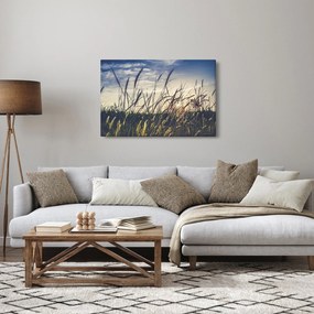 Obraz lúčnych kvetov (90x60 cm)