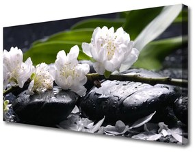 Obraz na plátne Kvet kamene 100x50 cm