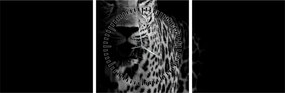 Obraz - Portrét leoparda (s hodinami) (90x30 cm)