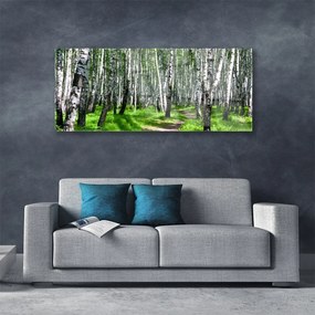 Obraz na akrylátovom skle Stromy tráva príroda 125x50 cm