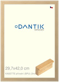 DANTIK rám na obraz 29,7x42 | KASSETTE přírodní (BPU) (Plexi Čiré)