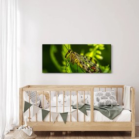 Obraz hmyzu (120x50 cm)