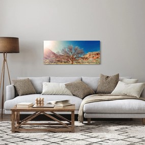 Obraz stromu v púšti (120x50 cm)