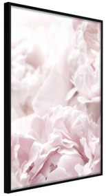 Artgeist Plagát - Fluffy Peonies [Poster] Veľkosť: 30x45, Verzia: Čierny rám