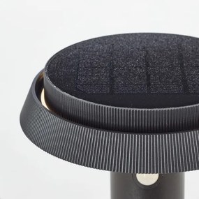 Brilliant - LED Solárna lampa so senzorom ALVERO LED/4W/3,7V 50 cm IP44 čierna