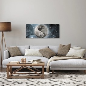 Obraz - Vesmírna rovnováha (120x50 cm)