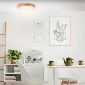 Brilliant - LED stropné svietidlo SLIMLINE LED/22W/230V, priemer 39 cm, gumovník