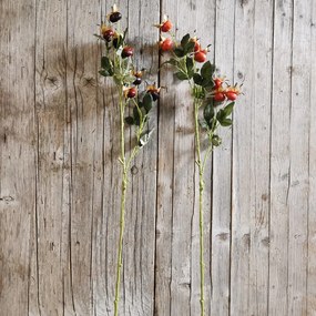 VETVIČKA šípky MIX ORANŽOVÁ/BORDOVÁ 70cm cena za 1ks