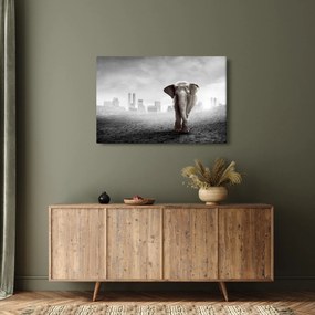 Obraz - Sloník vo veľkomeste, čiernobiely variant (90x60 cm)