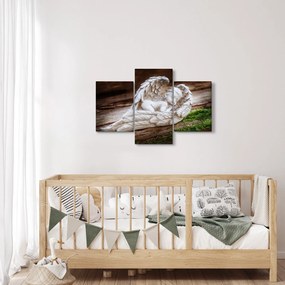 Obraz - Spiaci anjelik (90x60 cm)