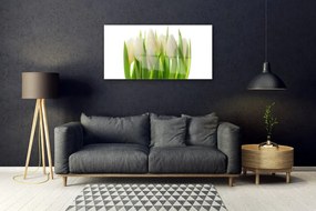 Obraz na akrylátovom skle Tulipány rastlina príroda 100x50 cm