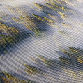 Obraz stromov v hmle (120x50 cm)